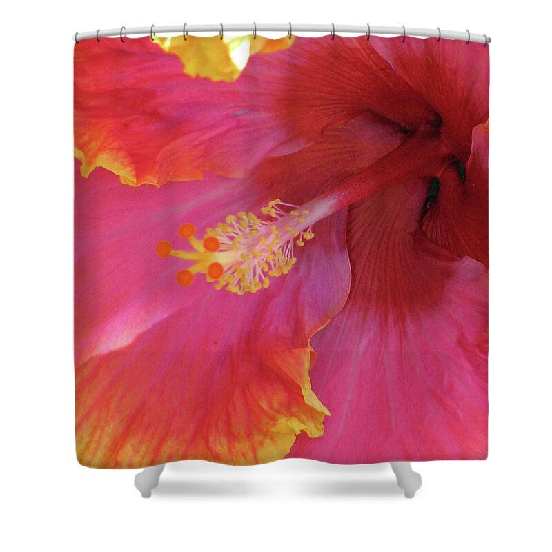 Hibiscus Shower Curtain featuring the photograph Hawaiian Hibiscus - Orange and Red 06 by Pamela Critchlow