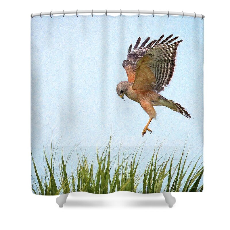 Hawk Shower Curtain featuring the photograph Hawk landing in nest by Joe Myeress