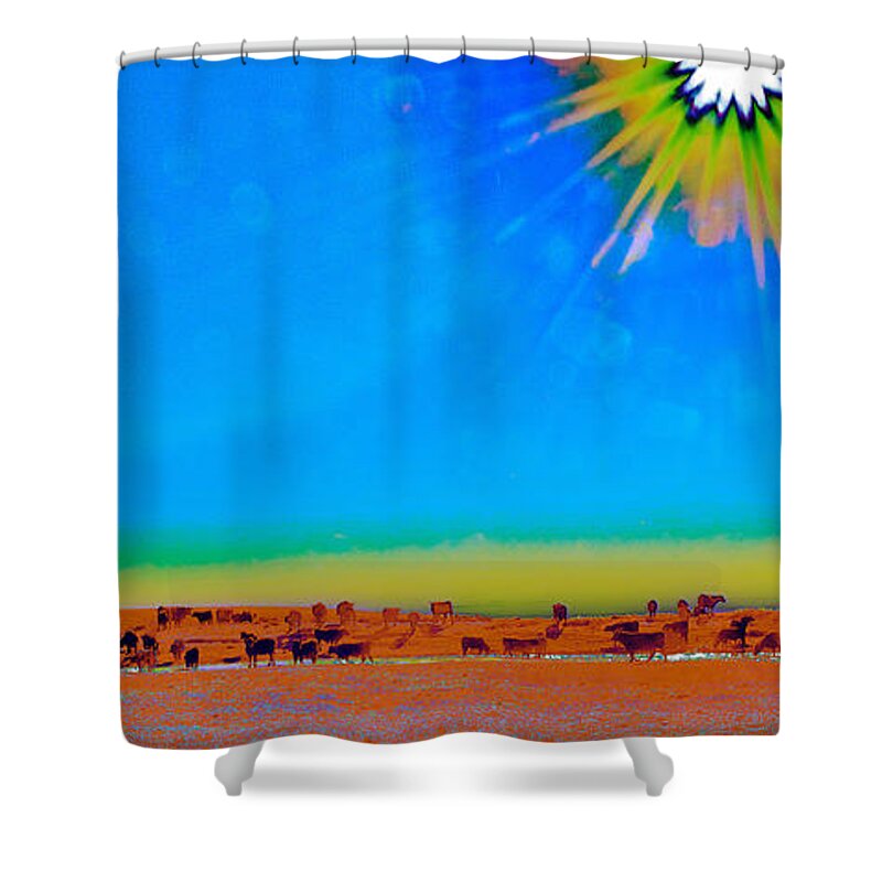 Cattle Shower Curtain featuring the photograph Hay Meadow to Water by Amanda Smith