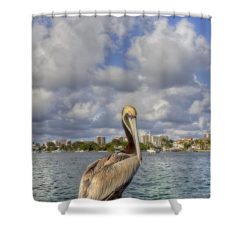 Bird Shower Curtain featuring the photograph Head in the Clouds by Debra and Dave Vanderlaan