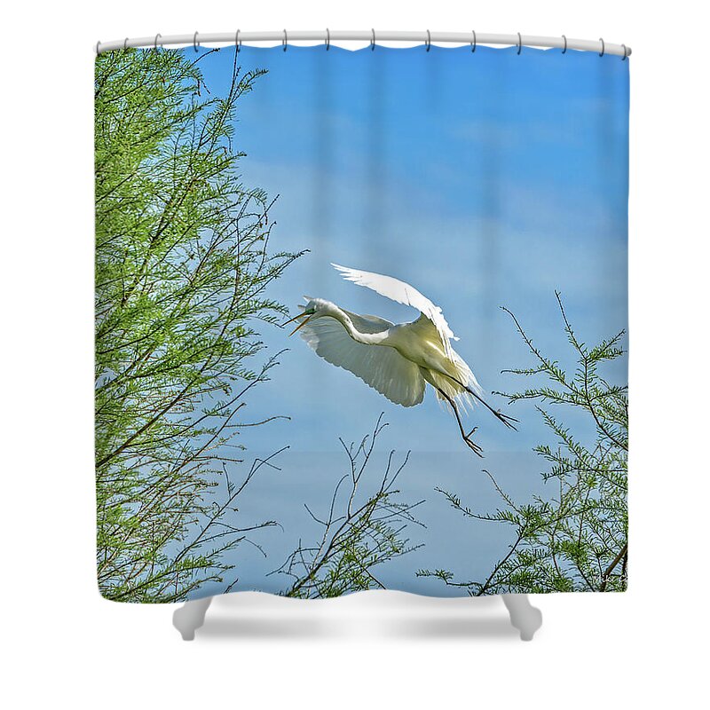 Egrets Nesting Rookery Shower Curtain featuring the photograph Heading Home by Mike Covington