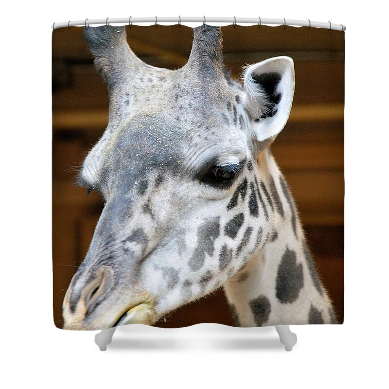 Animals Shower Curtain featuring the photograph Heads Up by Charles HALL