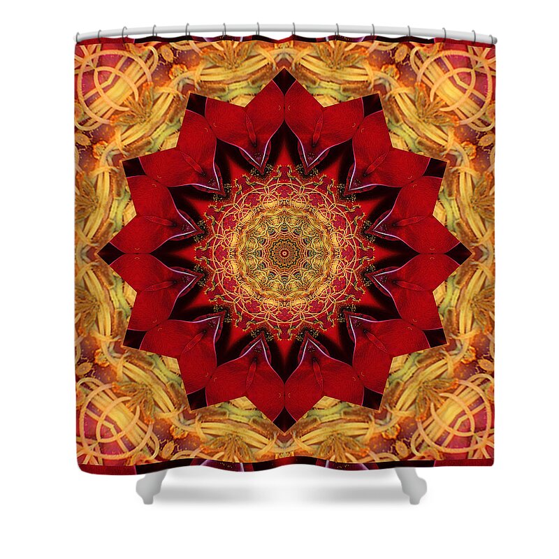 Mandalas Shower Curtain featuring the photograph Healing Mandala 28 by Bell And Todd