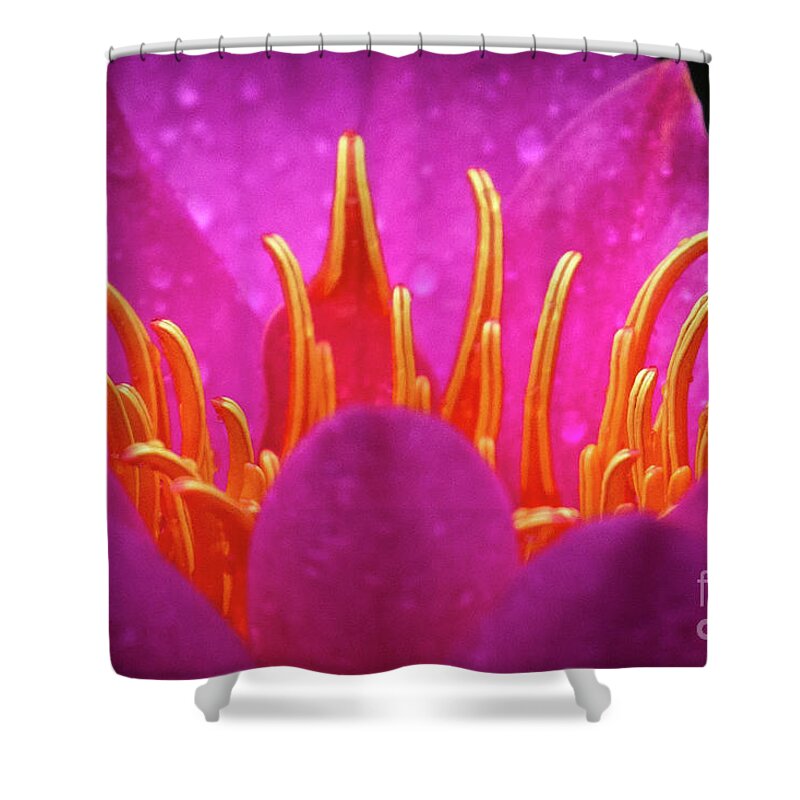 Gibbs Gardens Shower Curtain featuring the photograph Heart Of The Lily by Doug Sturgess