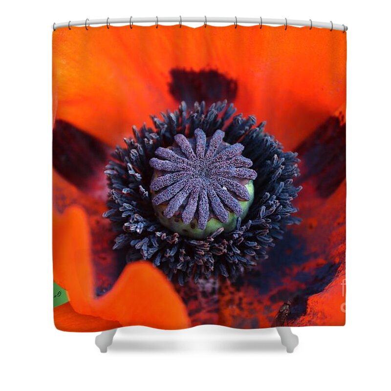 Flowers Shower Curtain featuring the photograph Heart of the Poppy by Yumi Johnson