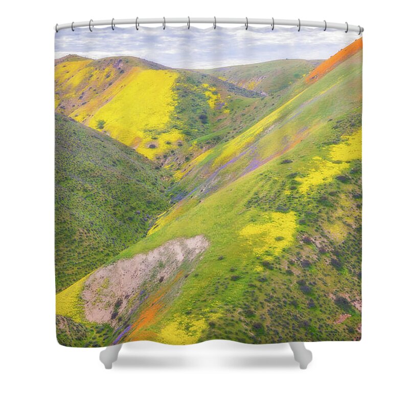 California Shower Curtain featuring the photograph Heart of the Temblor Range by Marc Crumpler