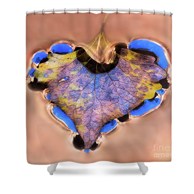 Heart Of Zion Shower Curtain featuring the photograph Heart of Zion Utah Adventure Landscape Art by Kaylyn Franks by Kaylyn Franks