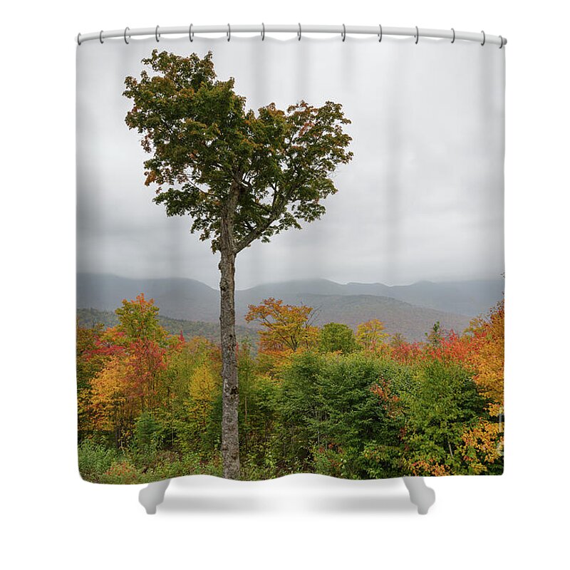 Autumn Shower Curtain featuring the photograph Heart Tree - Kancamagus Highway, New Hampshire by Erin Paul Donovan