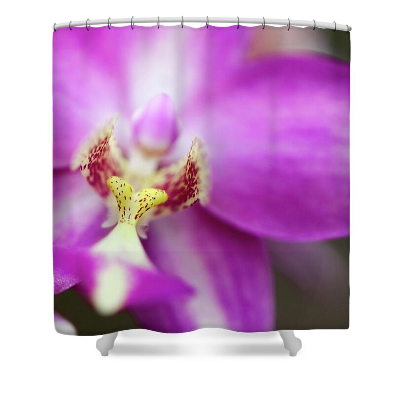 Macro Shower Curtain featuring the photograph Heartfelt by Mary Anne Delgado