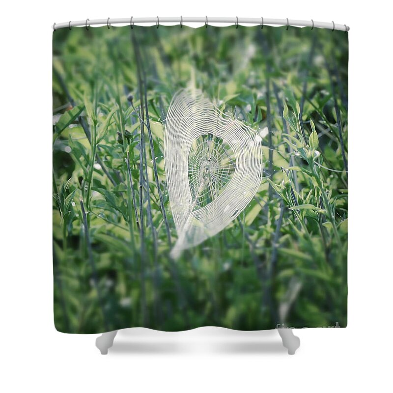 Hearts In Nature Shower Curtain featuring the photograph Hearts In Nature - Heart Shaped Web by Kerri Farley