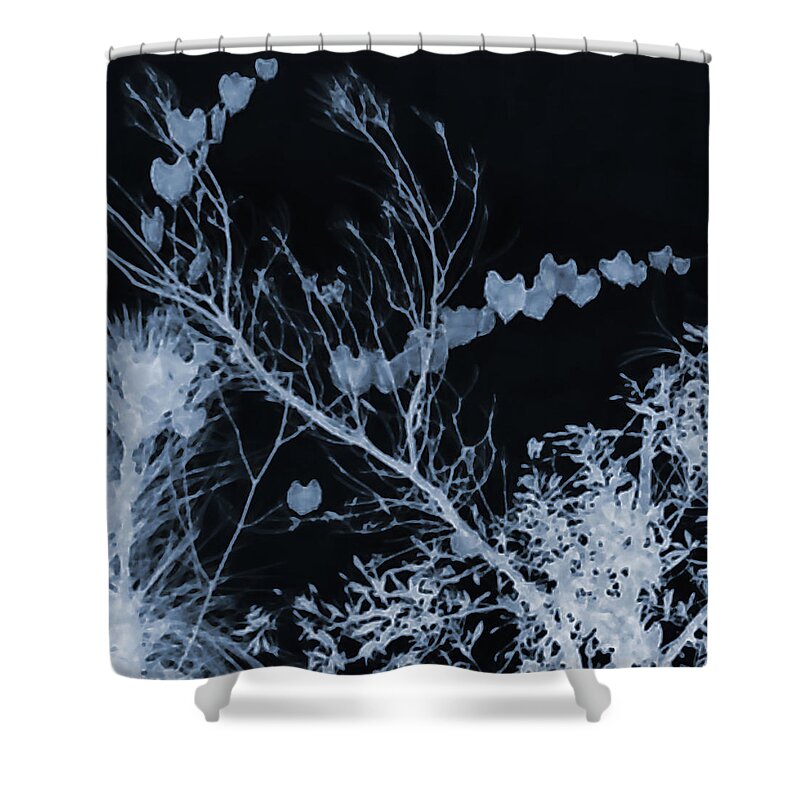 Hearts Shower Curtain featuring the photograph Hearts of Nature by Gina O'Brien