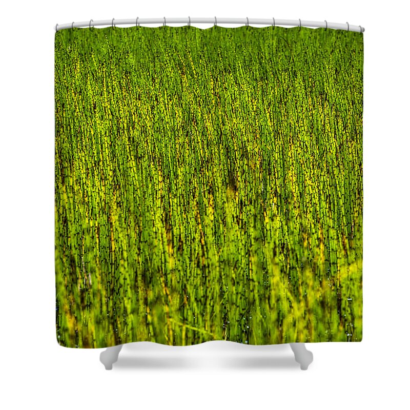 Blade Shower Curtain featuring the photograph Heather Lake Grass 2 by Pelo Blanco Photo
