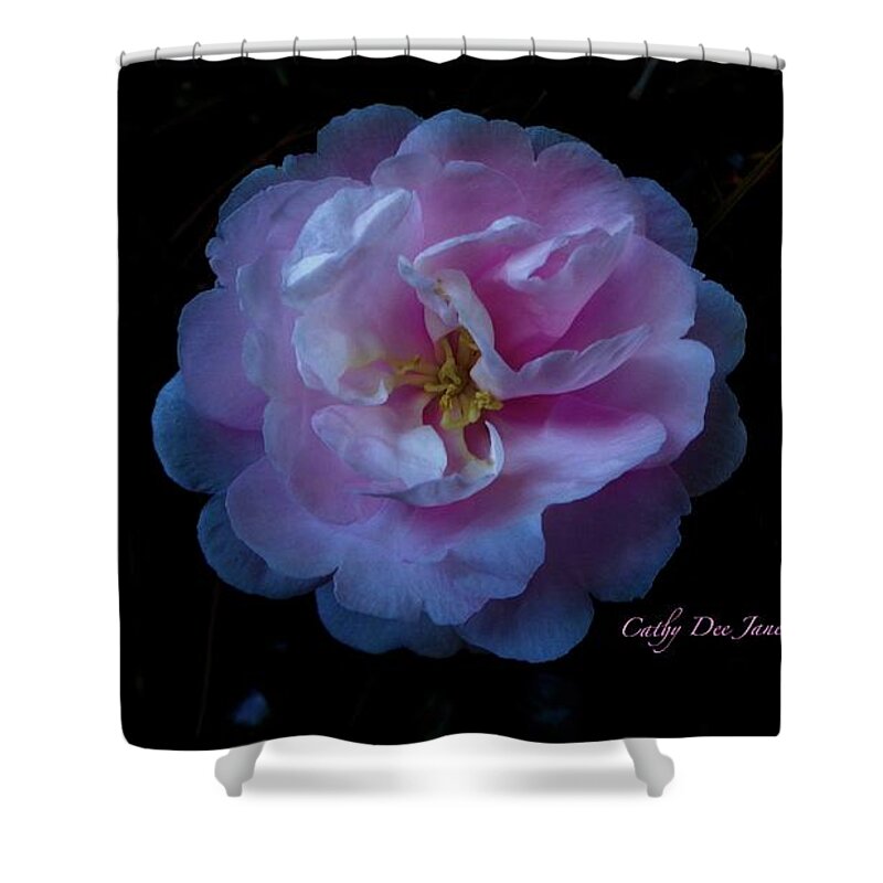 Cathy Dee Janes Shower Curtain featuring the photograph Heaven Scent by Cathy Dee Janes