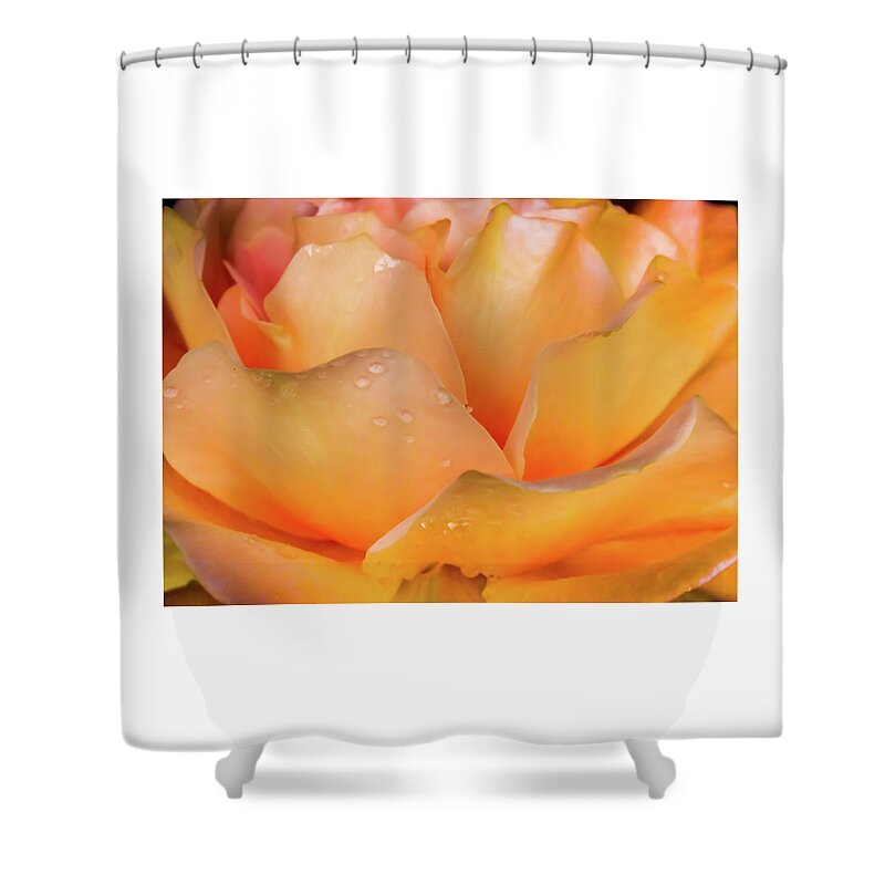 Rose Abstract Shower Curtain featuring the photograph Heaven Scent by Karen Wiles