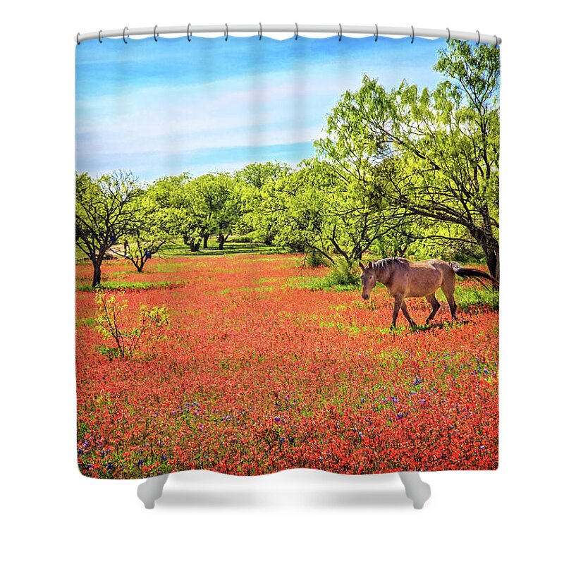 Heaven Shower Curtain featuring the photograph Heavenly Pasture in the Hill Country by Lynn Bauer