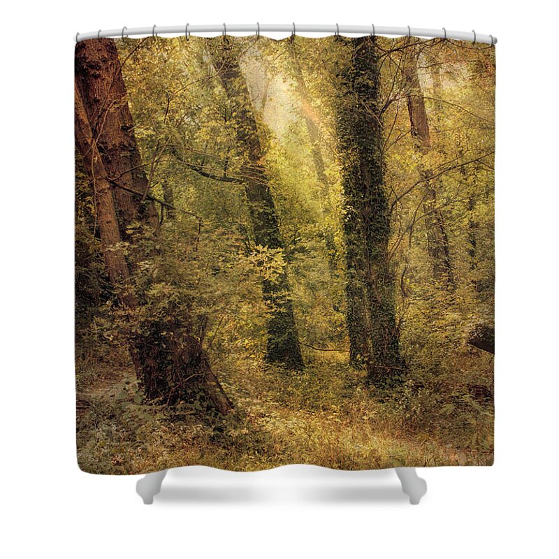 Trees Shower Curtain featuring the photograph Heaven's Glimmer by John Rivera