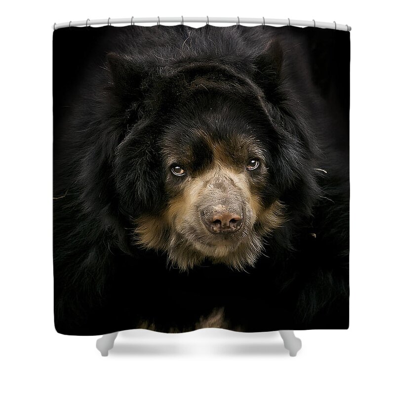  Shower Curtain featuring the photograph Hello from Me by Cheri McEachin