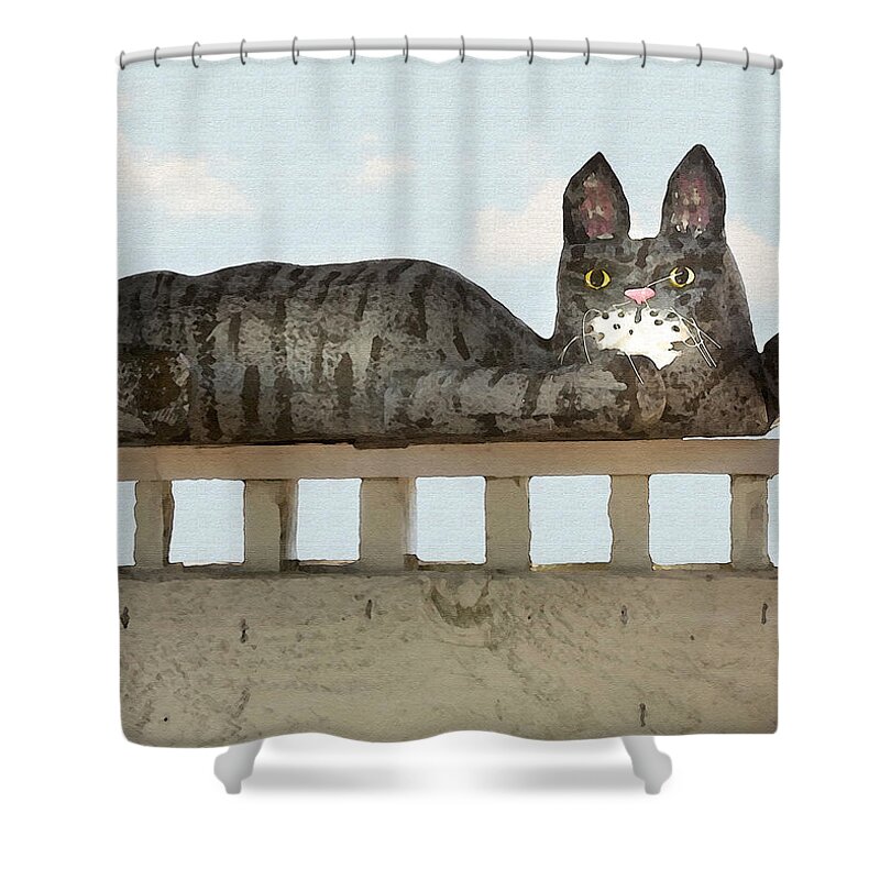 Cat Shower Curtain featuring the photograph Hello Kitty by Sharon Foster