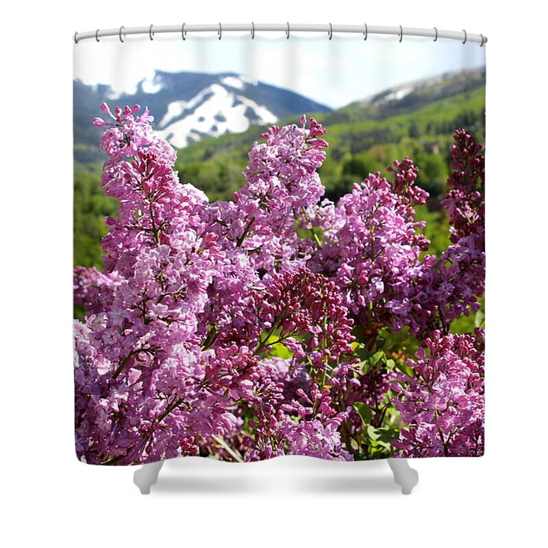 Beaver Creek Mountain Shower Curtain featuring the photograph Hello Spring by Fiona Kennard