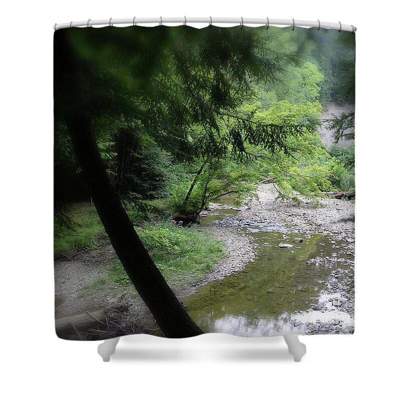 Trees Shower Curtain featuring the photograph Hell's Hallow by Lila Fisher-Wenzel
