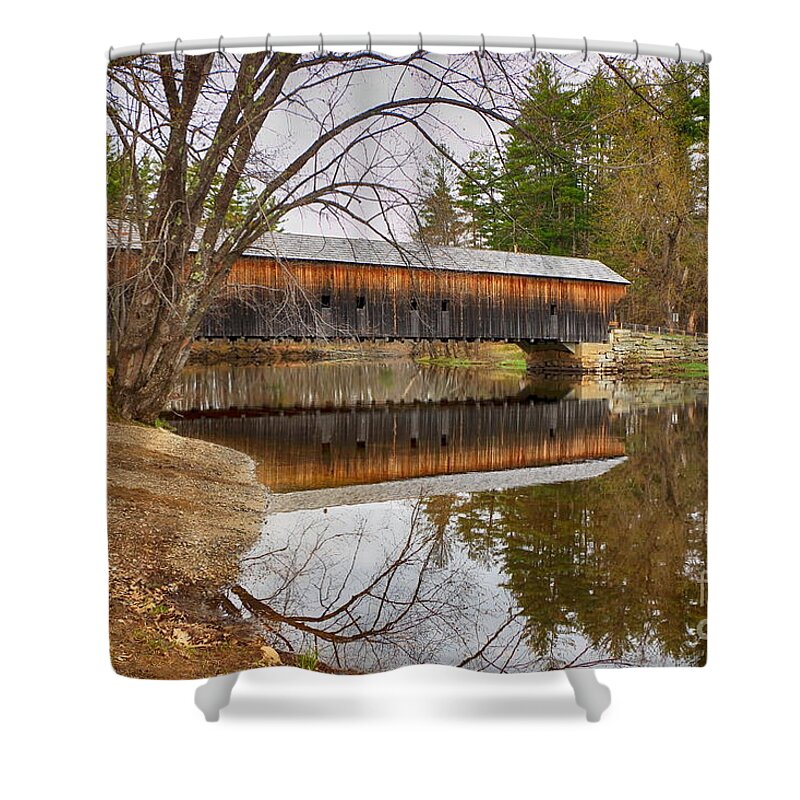 Branches Shower Curtain featuring the photograph Hemlock Bridge 1857 by Elizabeth Dow