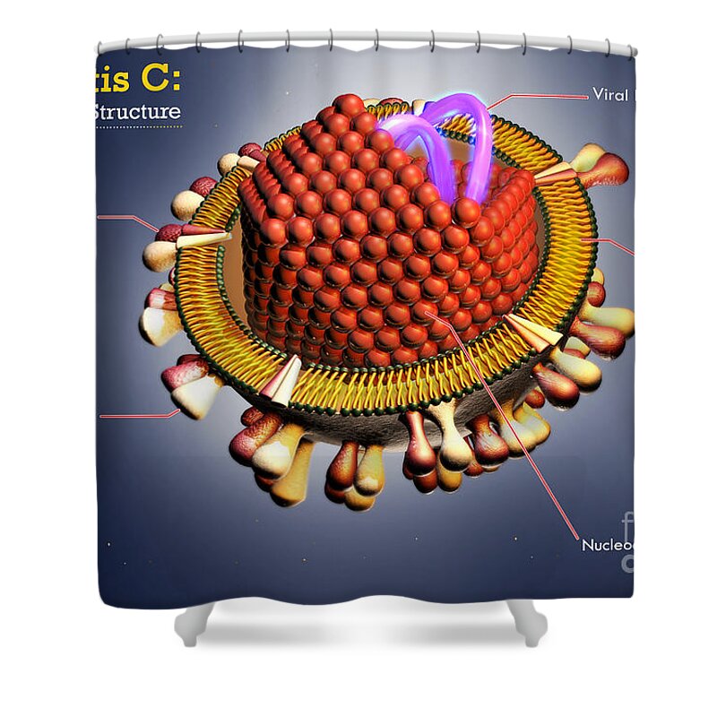 Science Shower Curtain featuring the photograph Hepatitis C Virus, Illustration by Sultan Alshehri