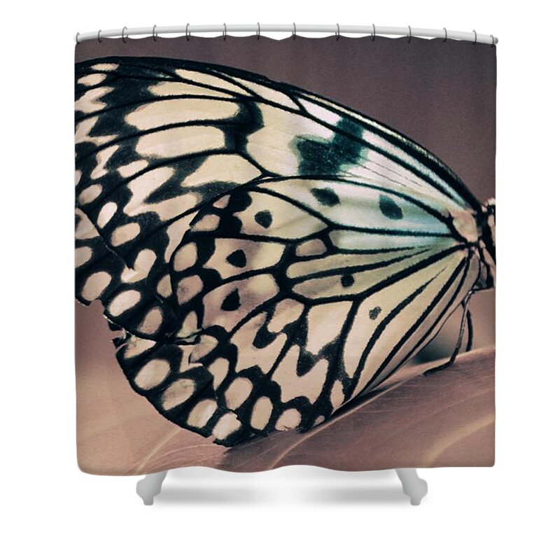 Butterfly Art Shower Curtain featuring the photograph Her Heavenly Soul by The Art Of Marilyn Ridoutt-Greene