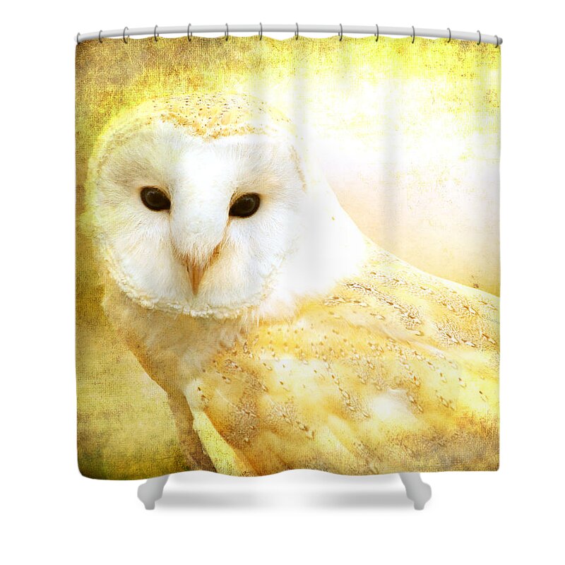 Barn Owl Shower Curtain featuring the digital art Her majesty by Heather King
