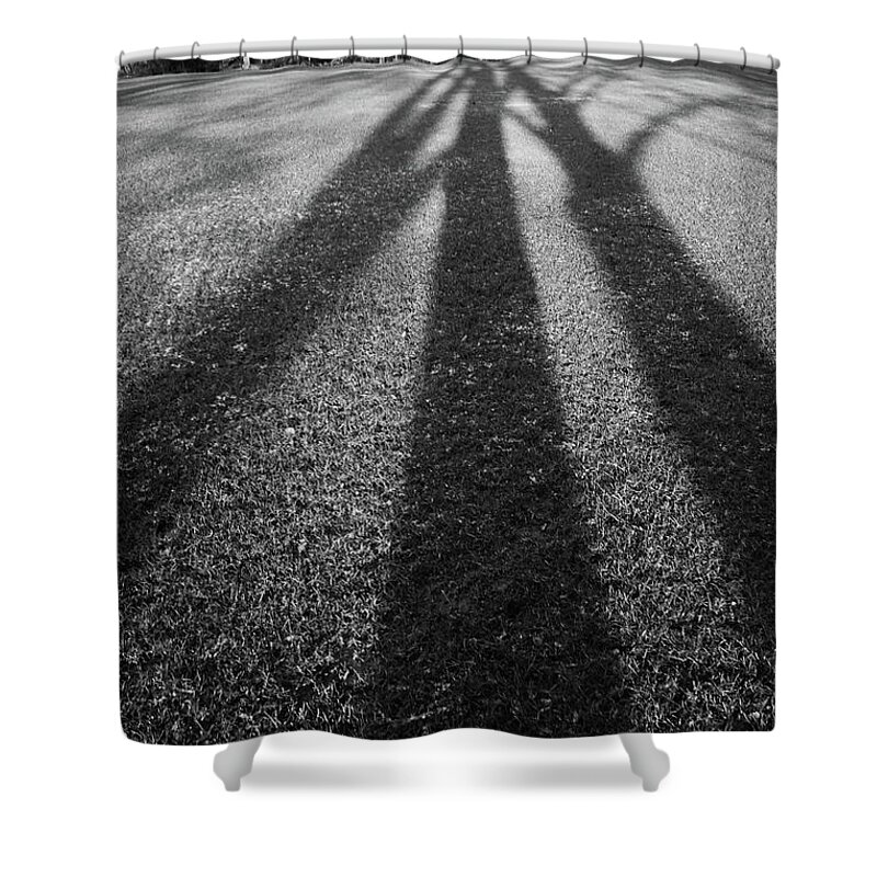 Lister Park Shower Curtain featuring the photograph Here In Hiding by Jez C Self