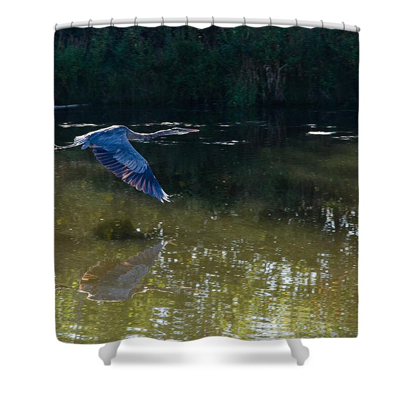 Heron Shower Curtain featuring the photograph Heron Flight by Laurel Best