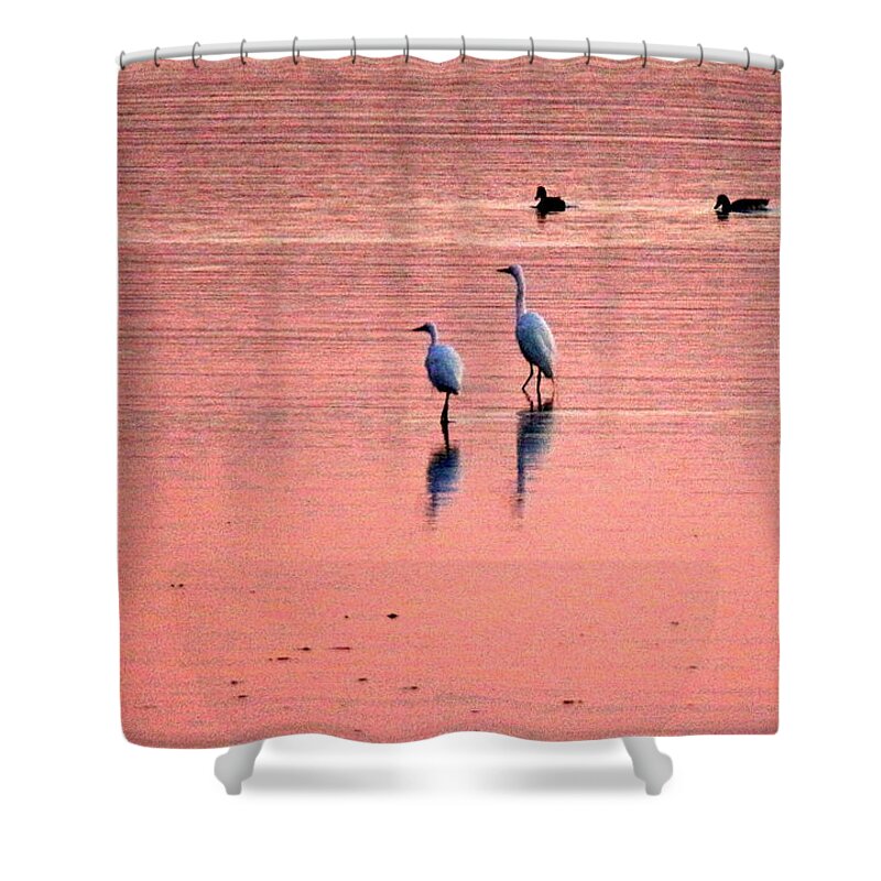 Herons At Sunrise Shower Curtain featuring the photograph Herons at Sunrise by Suzanne DeGeorge