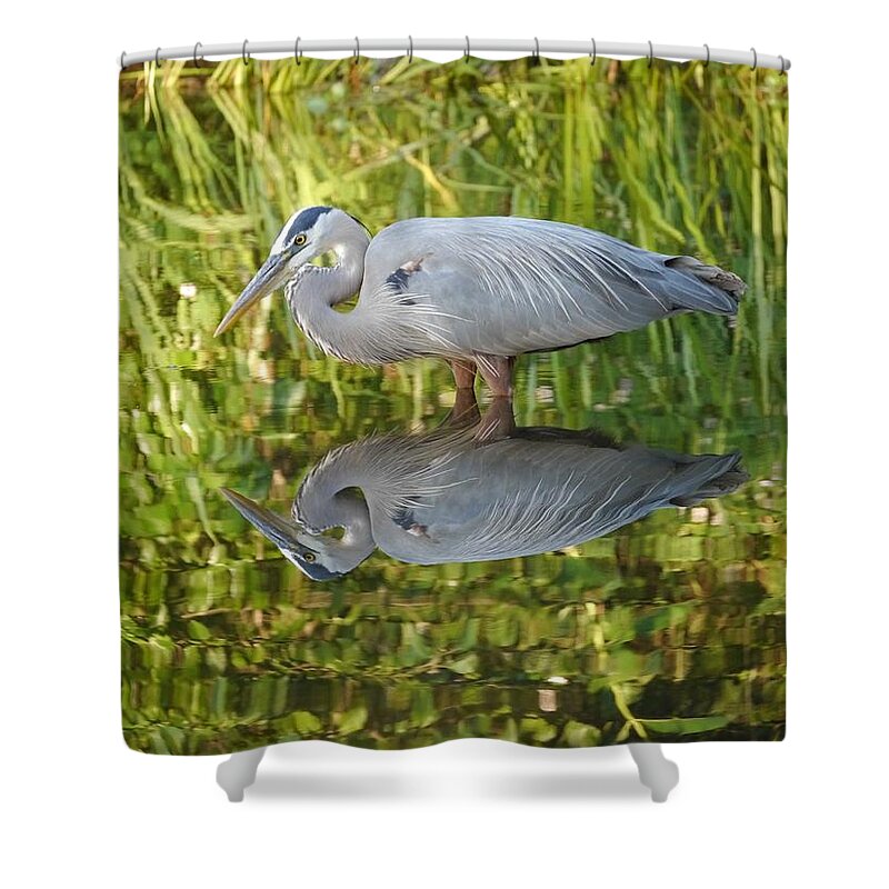 Jane Ford Shower Curtain featuring the photograph Heron's Reflection by Jane Ford