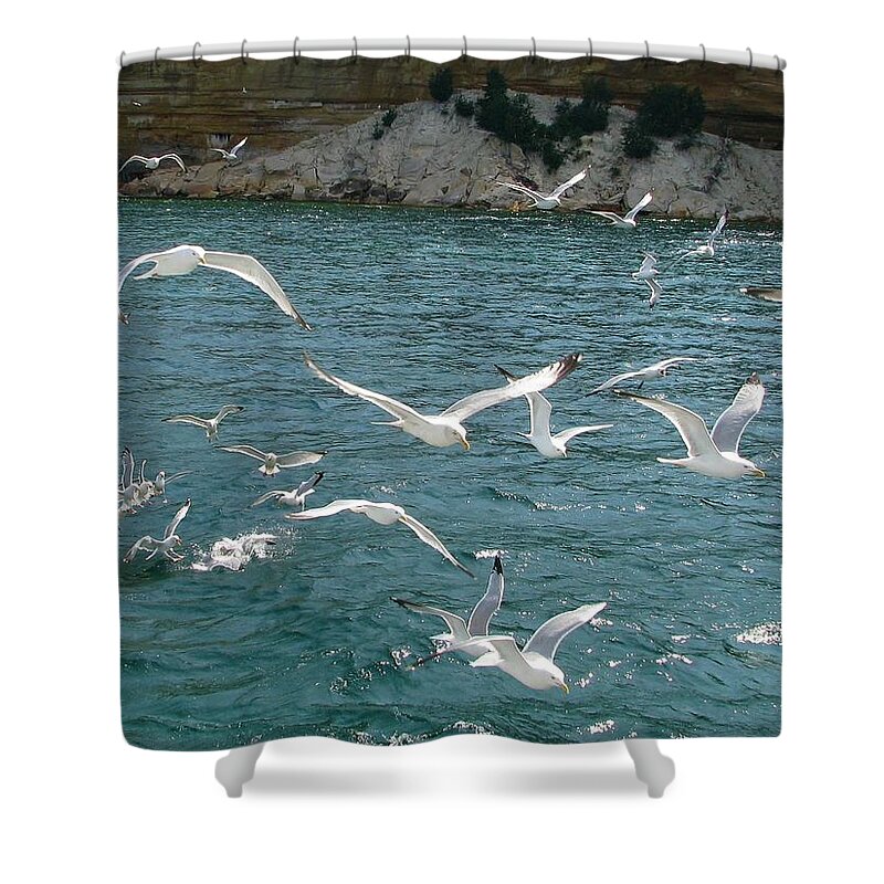 Pictured Rocks National Lakeshore Shower Curtain featuring the photograph Herring Gulls at Pictured Rocks by Keith Stokes
