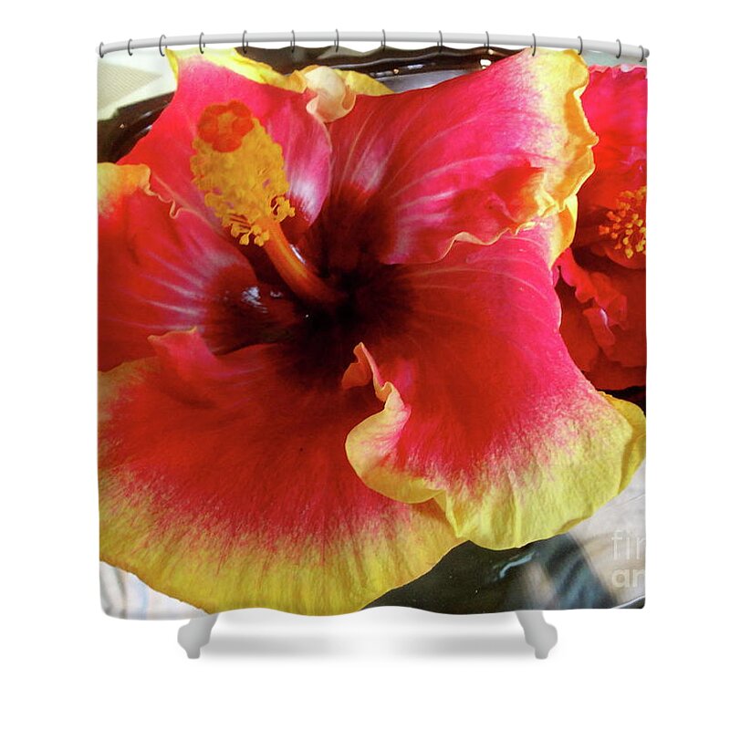 Hibiscus Shower Curtain featuring the painting Hibiscus 11 by Jenny Lee