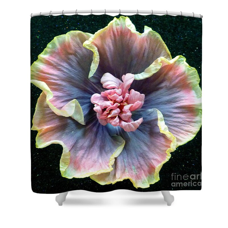 Hibiscus Shower Curtain featuring the photograph Hibiscus 9 by Barbie Corbett-Newmin
