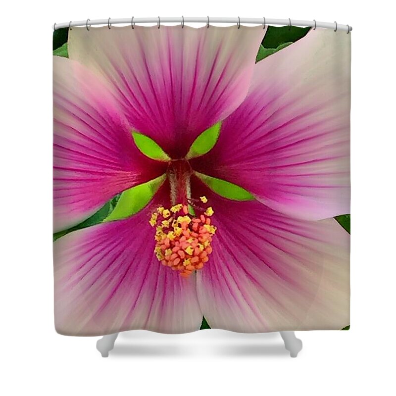 3000 Views Shower Curtain featuring the photograph Hibiscus Face by Jenny Revitz Soper