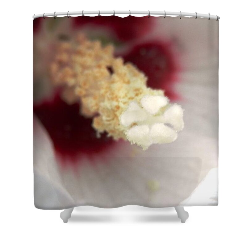 #maroon Shower Curtain featuring the photograph Hibiscus Hearts of Love by Belinda Lee