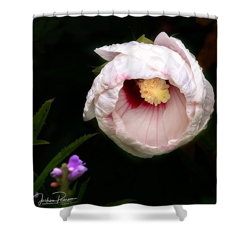 Hibiscus Shower Curtain featuring the photograph Hibiscus in bloom by Jackson Pearson