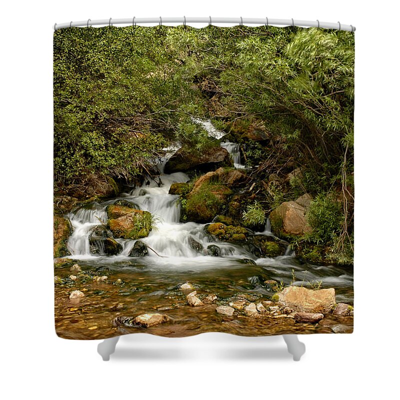 Water Shower Curtain featuring the photograph Hidden Falls by Scott Read