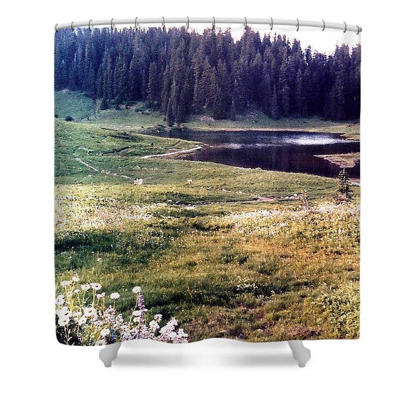 Mountains Shower Curtain featuring the photograph Hidden Valley by Carol Allen Anfinsen