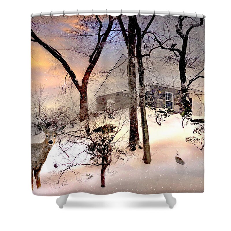 Winter Snow Landscape Shower Curtain featuring the photograph The Wish #1 by Diana Angstadt