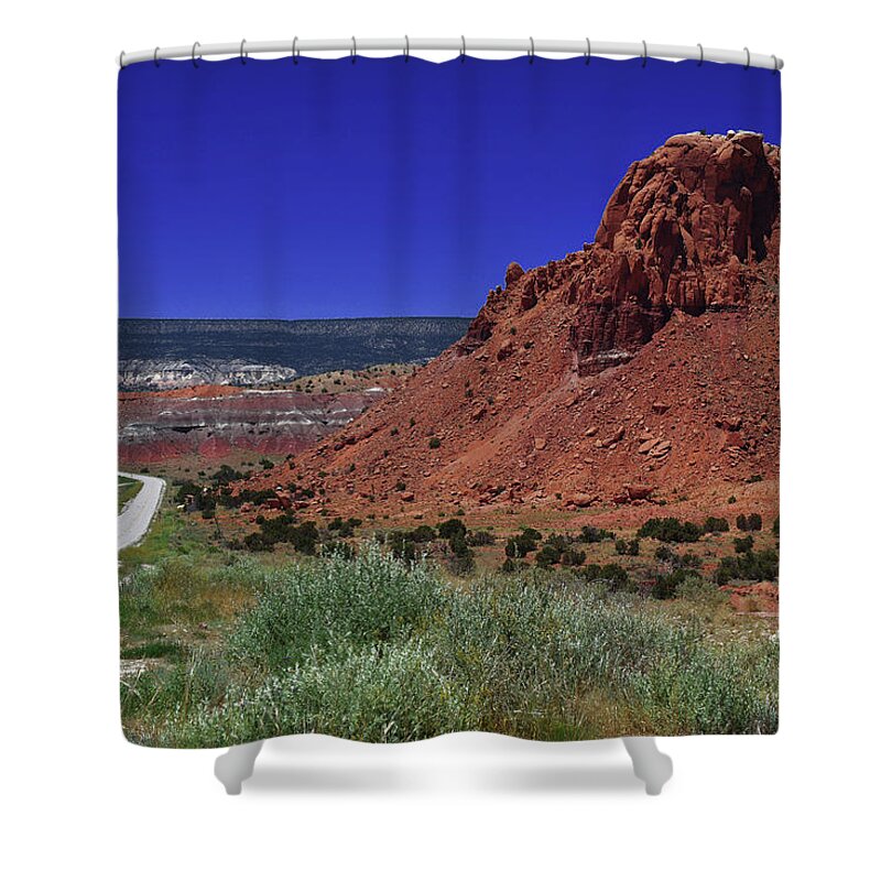 New Mexico Shower Curtain featuring the photograph High Desert by Renee Hardison