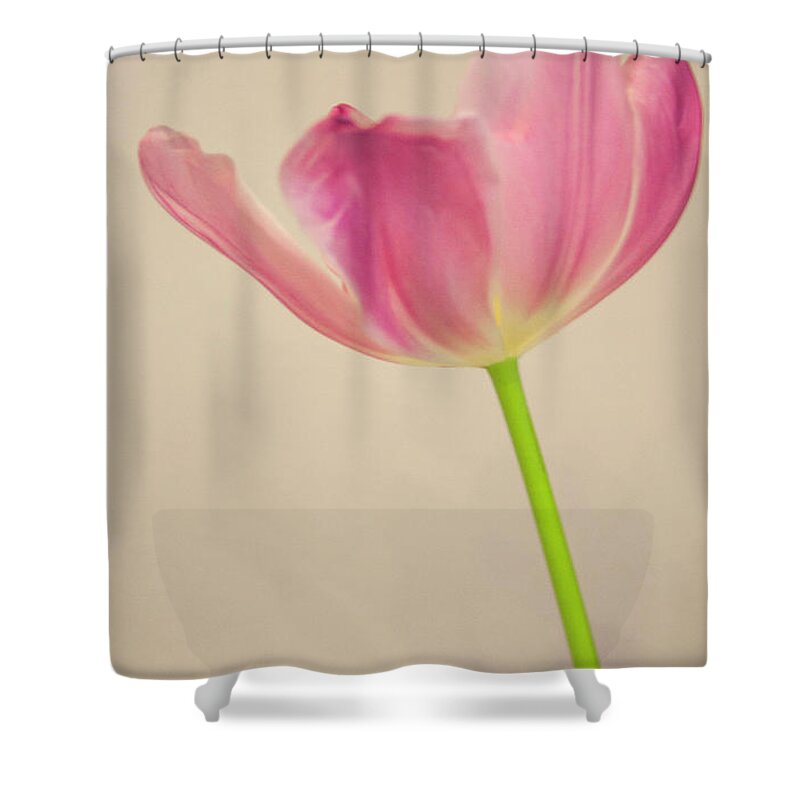 #tulip # Beauty #botanical #floral #photography # Fineart Shower Curtain featuring the photograph High Hopes by Jacquelinemari