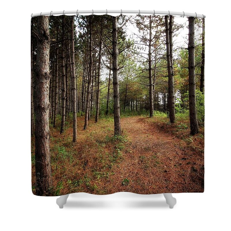 Hiking Shower Curtain featuring the photograph Hiking in Whitetail Woods by Jimmy Ostgard