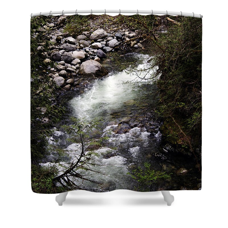 Wallace Falls Shower Curtain featuring the photograph Hiking Wallace Falls#1 by Edward Hawkins II