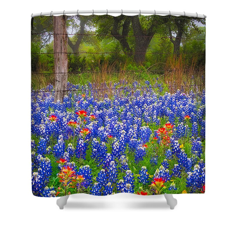 America Shower Curtain featuring the photograph Hill Country Forest by Inge Johnsson