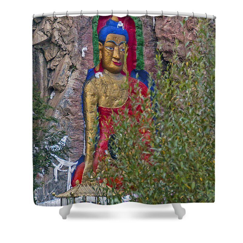 Asia Shower Curtain featuring the photograph Hillside Buddha by Alan Toepfer