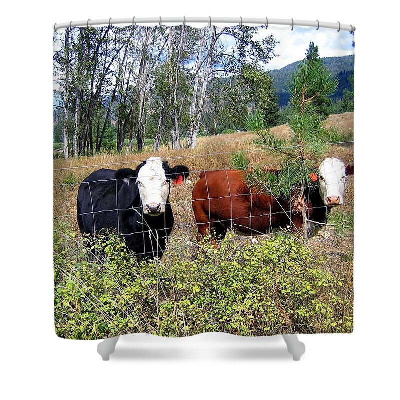 #livestock Shower Curtain featuring the photograph Hillside Buddies by Will Borden