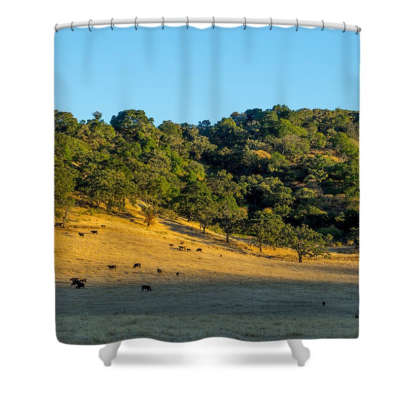 California Shower Curtain featuring the photograph Hillside Pasture by Derek Dean