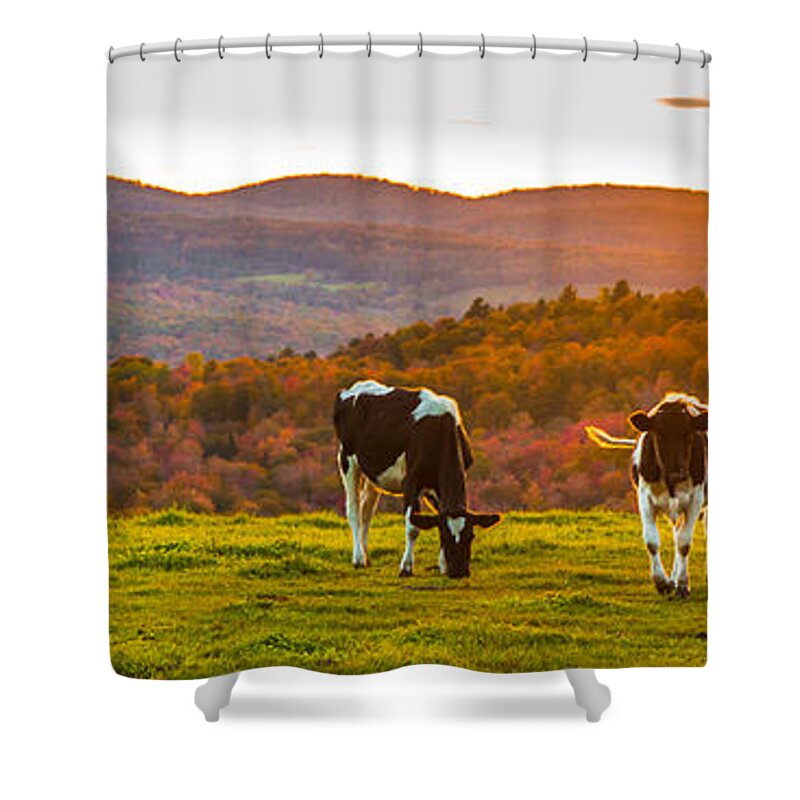 Cows Shower Curtain featuring the photograph Hilltop Herd by Tim Kirchoff